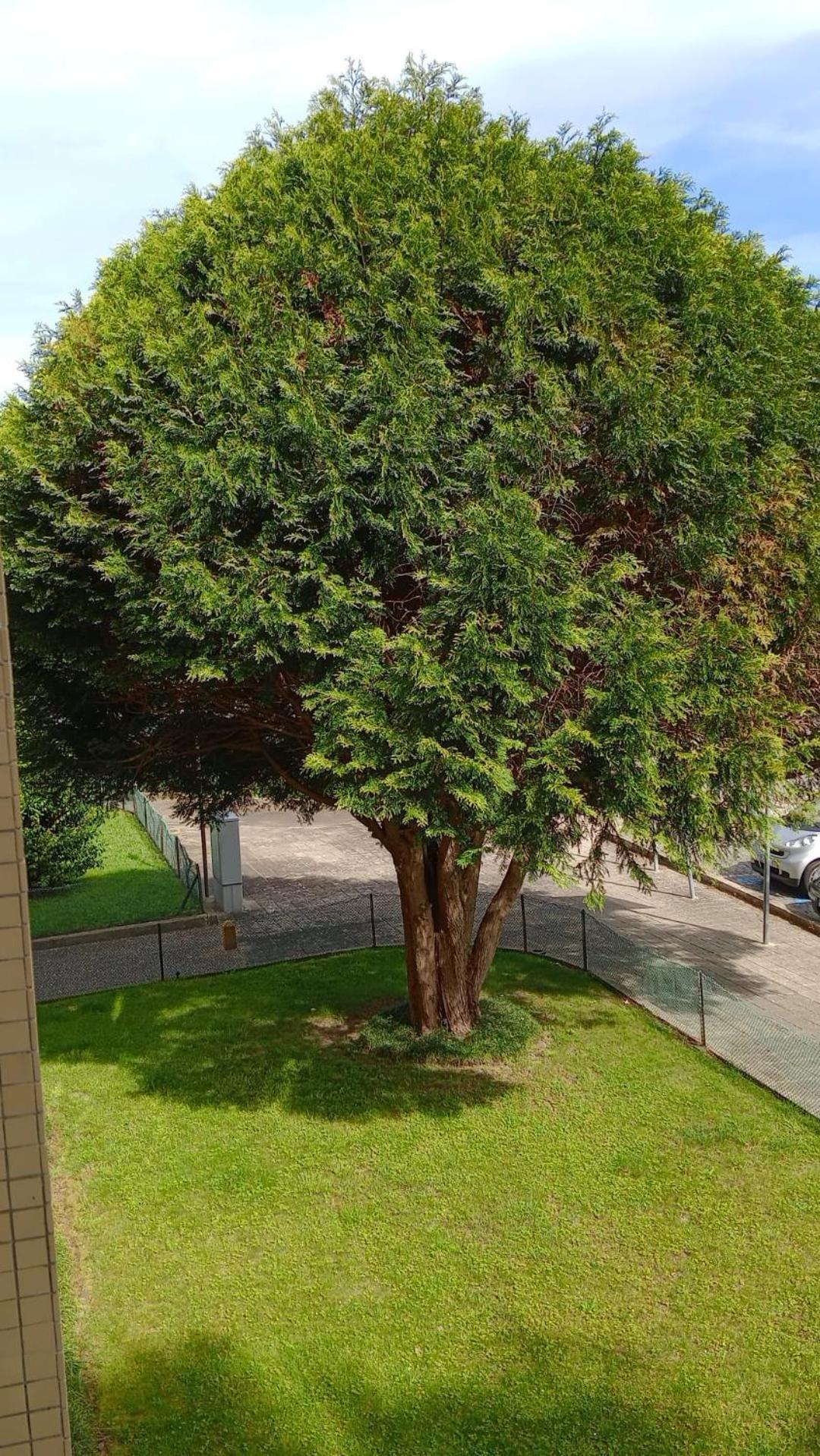 Praceta Apartment Porto Bagian luar foto